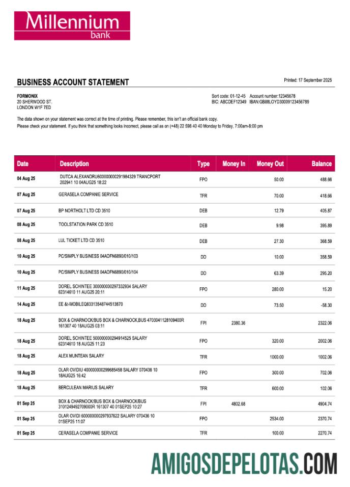 Declaração de empresa de negócios do Millennium Polônia em formato Word e PDF exemplo